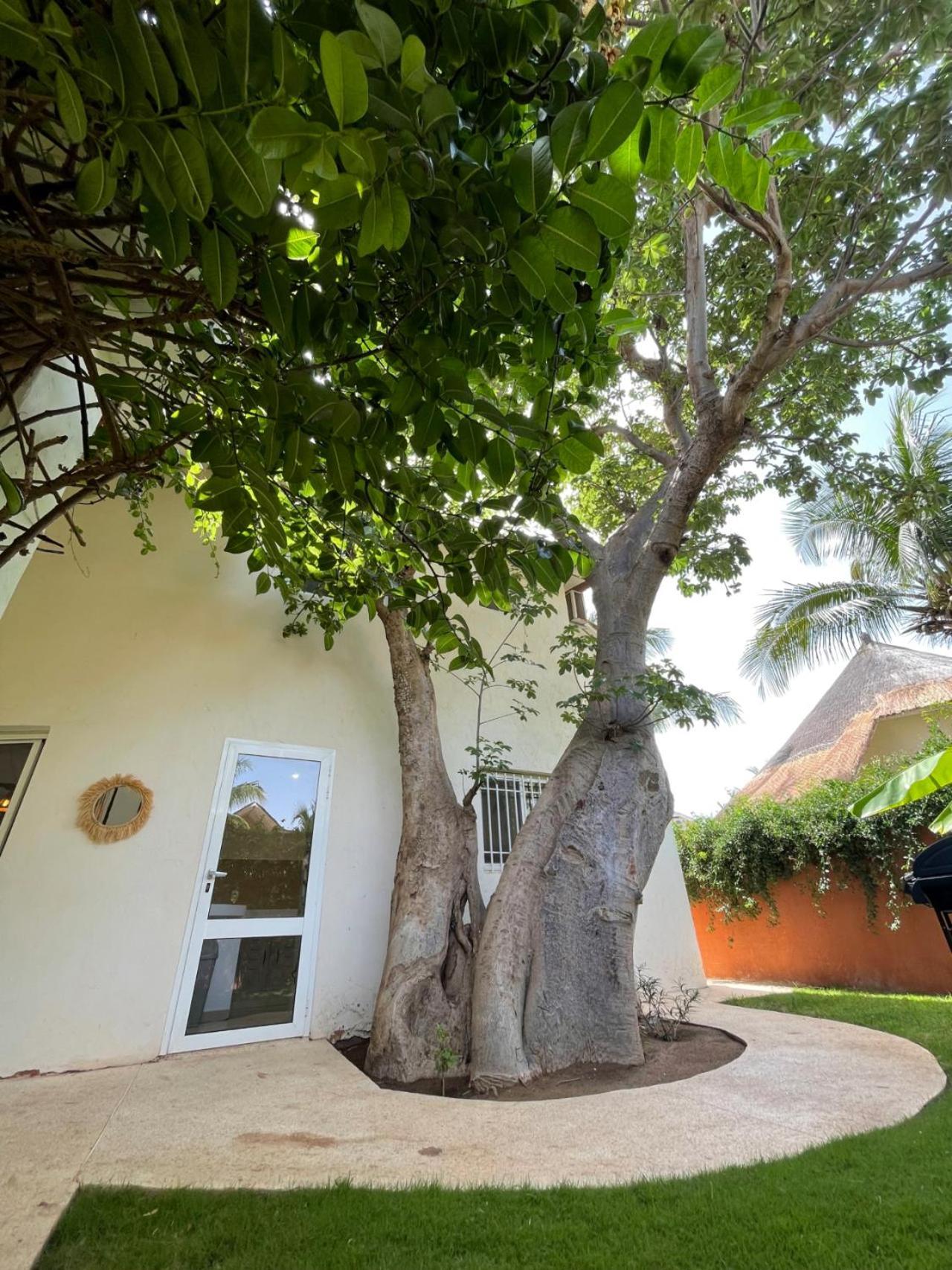 Agence Adjana Resort - Residence Du Port 3 Sali Tap Экстерьер фото